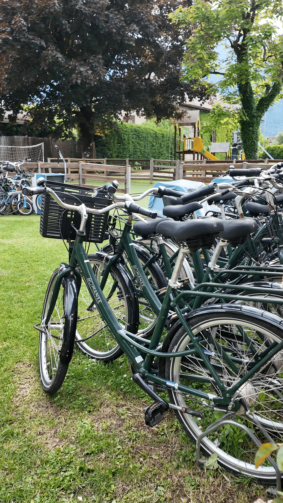 Vélo de location de camping