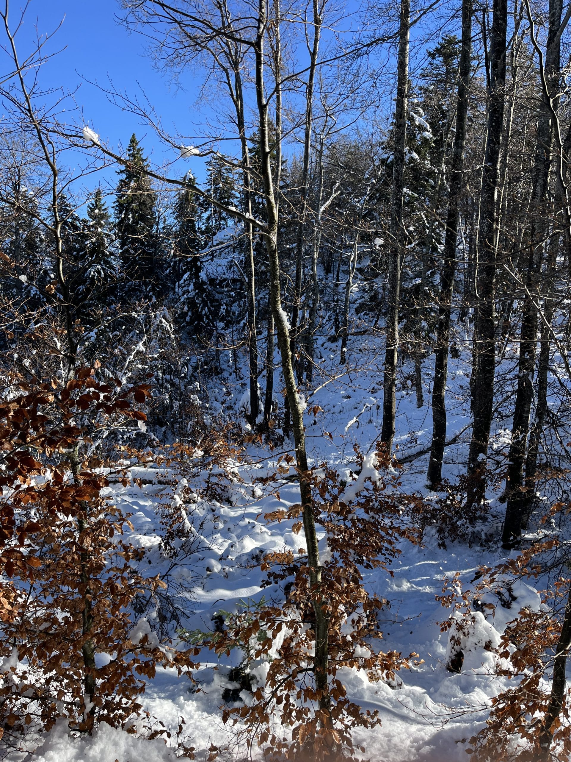 Mont Veyrier enneigé