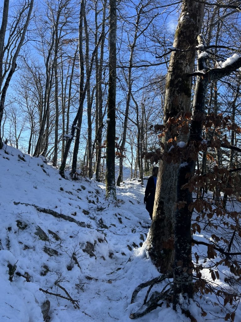 Balade au mont Veyrier